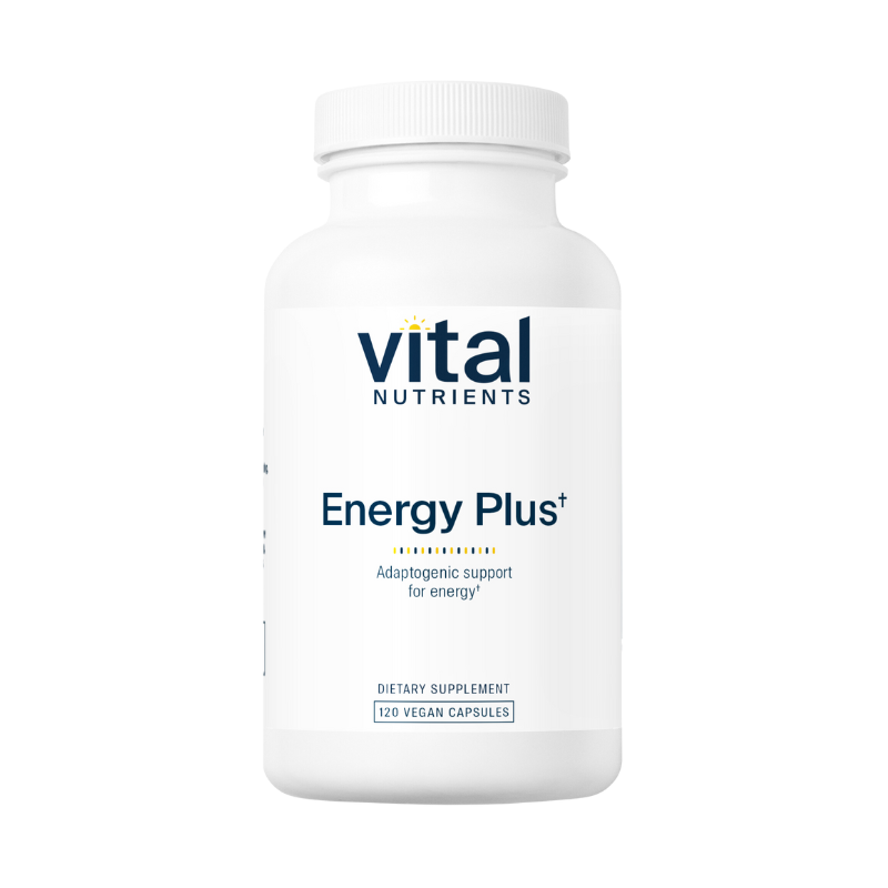 Energy Plus