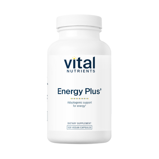 Energy Plus